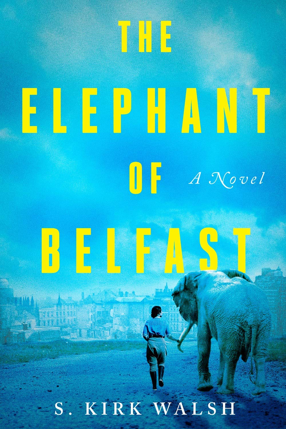 Cover of The Elephant of Belfast by S. Kirk Walsh